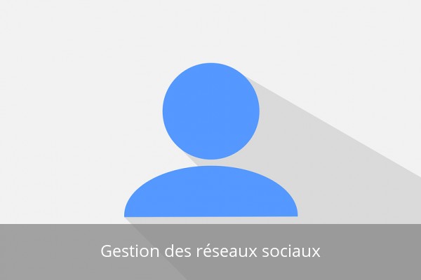 Gestion des réseaux sociaux Dijon